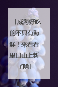 威海好吃的不只有海鲜！来看看里口山上新了啥