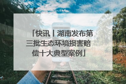 快讯丨湖南发布第三批生态环境损害赔偿十大典型案例