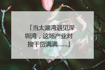 当太湖湾遇见深圳湾，这场产业对接干货满满……