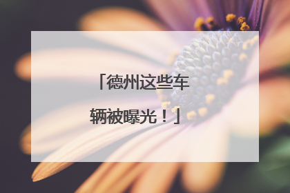 德州这些车辆被曝光！