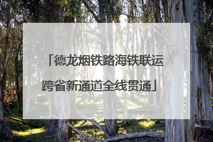 德龙烟铁路海铁联运跨省新通道全线贯通