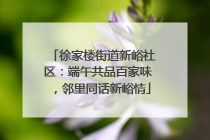 徐家楼街道新峪社区：端午共品百家味，邻里同话新峪情