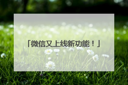 微信又上线新功能！