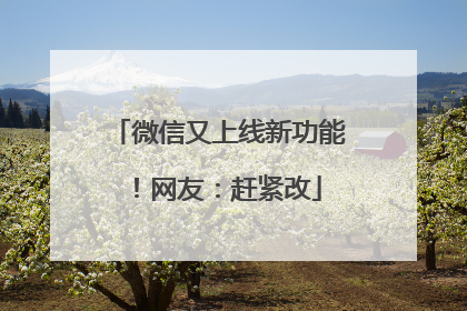 微信又上线新功能！网友：赶紧改