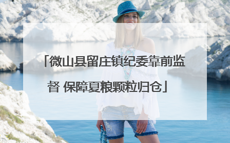 微山县留庄镇纪委靠前监督 保障夏粮颗粒归仓
