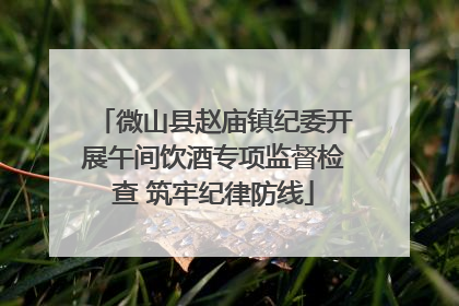 微山县赵庙镇纪委开展午间饮酒专项监督检查 筑牢纪律防线