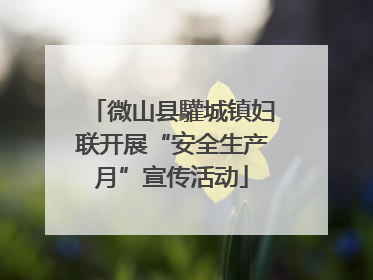 微山县驩城镇妇联开展“安全生产月”宣传活动
