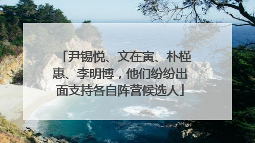 尹锡悦、文在寅、朴槿惠、李明博，他们纷纷出面支持各自阵营候选人