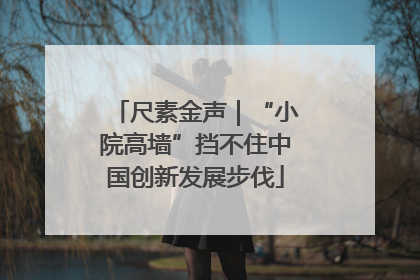 尺素金声｜“小院高墙”挡不住中国创新发展步伐