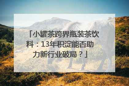 小罐茶跨界瓶装茶饮料：13年积淀能否助力新行业破局？