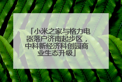小米之家与格力电器落户济南起步区，中科新经济科创园商业生态升级