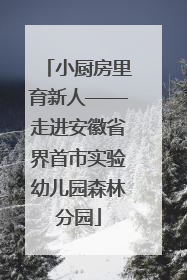 小厨房里育新人——走进安徽省界首市实验幼儿园森林分园