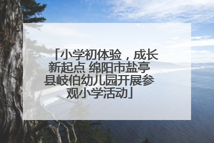 小学初体验，成长新起点 绵阳市盐亭县岐伯幼儿园开展参观小学活动