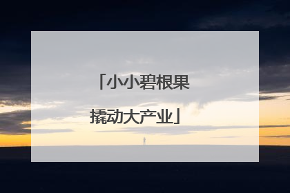 小小碧根果撬动大产业