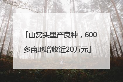 山窝头里产良种，600多亩地增收近20万元