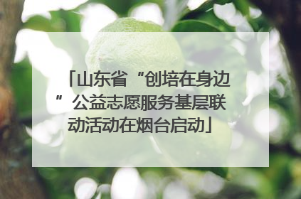 山东省“创培在身边”公益志愿服务基层联动活动在烟台启动