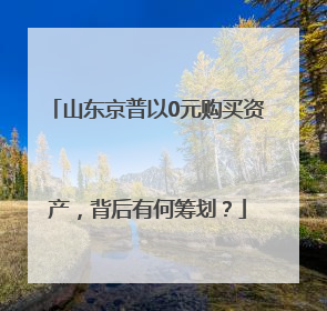 山东京普以0元购买资产，背后有何筹划？