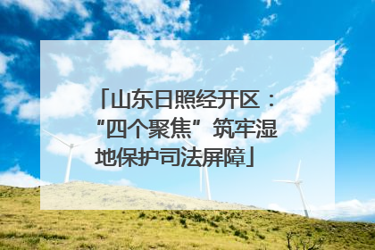 山东日照经开区：“四个聚焦”筑牢湿地保护司法屏障