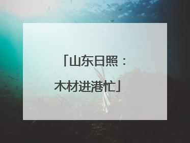 山东日照：木材进港忙