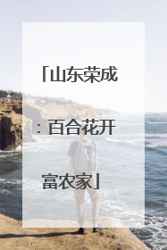 山东荣成：百合花开富农家