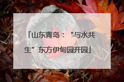 山东青岛：“与水共生”东方伊甸园开园