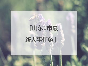 山东1市最新人事任免