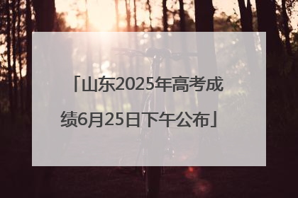 山东2025年高考成绩6月25日下午公布