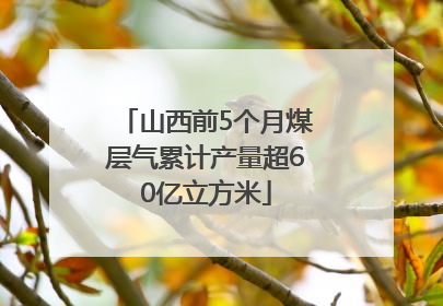 山西前5个月煤层气累计产量超60亿立方米