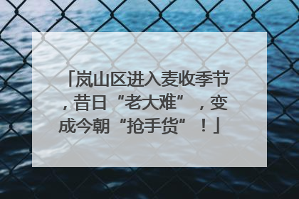 岚山区进入麦收季节，昔日“老大难”，变成今朝“抢手货”！