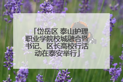 岱岳区 泰山护理职业学院校城融合暨书记、区长高校行活动在泰安举行