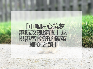 巾帼匠心筑梦 港航玫瑰绽放丨龙拱港智控班的破茧蝶变之路