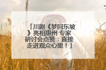 川剧《梦回东坡》亮相惠州 专家研讨会点赞：直接走进观众心里！
