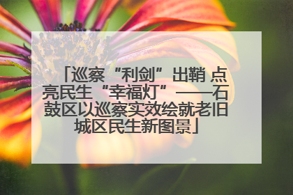 巡察“利剑”出鞘 点亮民生“幸福灯”——石鼓区以巡察实效绘就老旧城区民生新图景