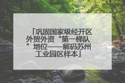 巩固国家级经开区外贸外资“第一梯队”地位——解码苏州工业园区样本