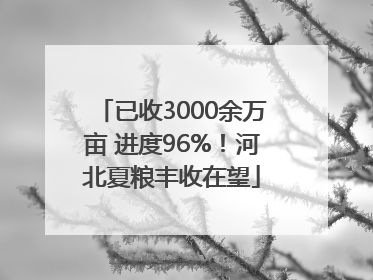 已收3000余万亩 进度96%！河北夏粮丰收在望
