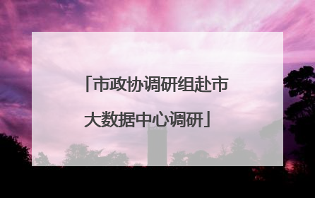 市政协调研组赴市大数据中心调研