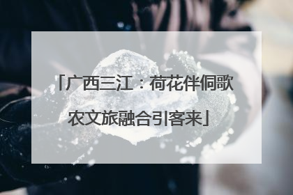 广西三江：荷花伴侗歌 农文旅融合引客来
