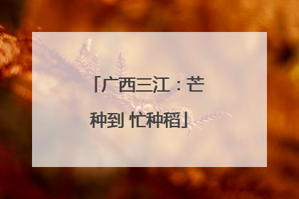 广西三江：芒种到 忙种稻