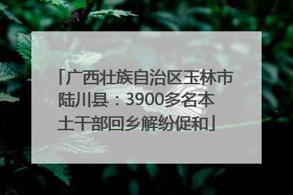 广西壮族自治区玉林市陆川县：3900多名本土干部回乡解纷促和