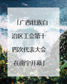 广西壮族自治区工会第十四次代表大会在南宁开幕