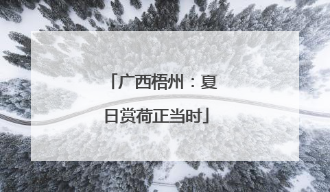广西梧州：夏日赏荷正当时