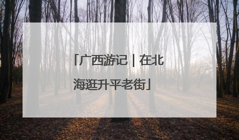广西游记｜在北海逛升平老街