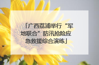 广西荔浦举行“军地联合”防汛抢险应急救援综合演练
