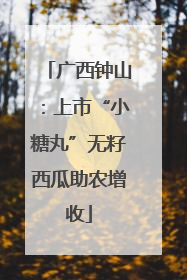 广西钟山：上市“小糖丸”无籽西瓜助农增收