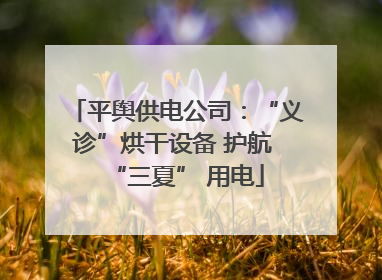 平舆供电公司：“义诊”烘干设备 护航 “三夏” 用电