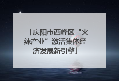 庆阳市西峰区“火辣产业”激活集体经济发展新引擎