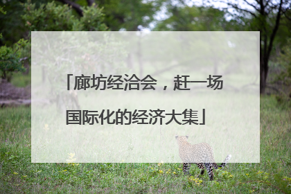 廊坊经洽会，赶一场国际化的经济大集