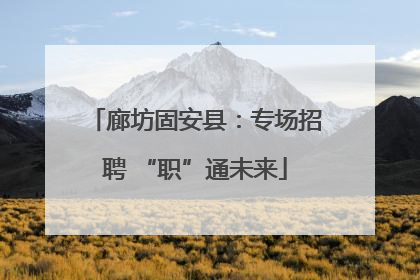 廊坊固安县：专场招聘 “职”通未来