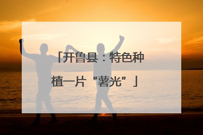 开鲁县：特色种植一片“薯光”