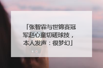 张智霖与世锦赛冠军赵心童切磋球技，本人发声：很梦幻